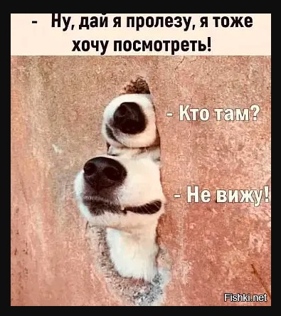 Всего понемногу. От 28.11.23