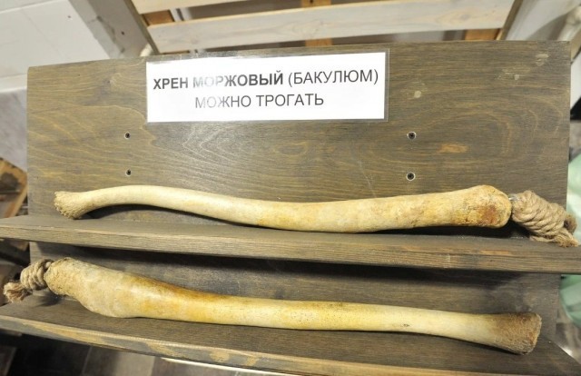 Так себе картинки 20.12.23