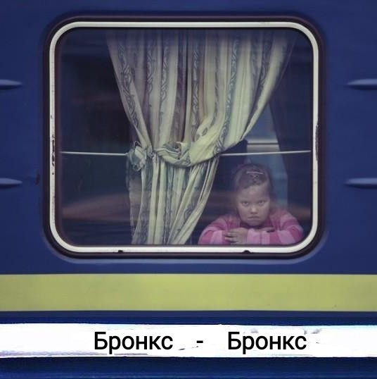 Такер Карлсон: «У нас в Бронксе наркоманы и нищета»