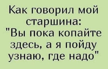 Суббота! Баяны! Красота!