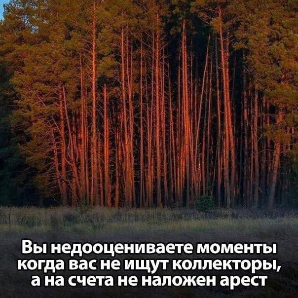 Сборник бабаянов или неожиданная помойка от Неждалигады