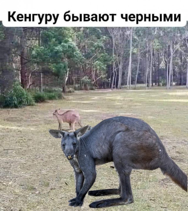Завалялось тут случайно немного забавных картинок