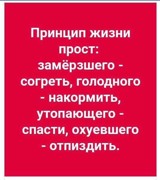 Так себе картинки 28.01.25