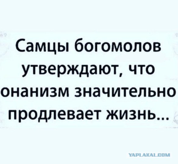 Картинки не для всех