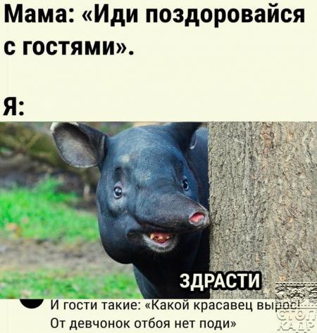 Так себе картинки 12.02.25