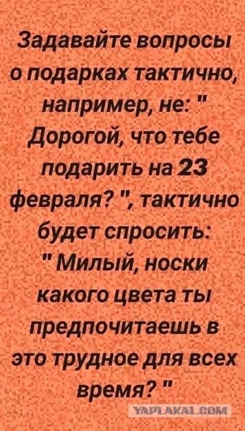 Так себе картинки 22.02.25