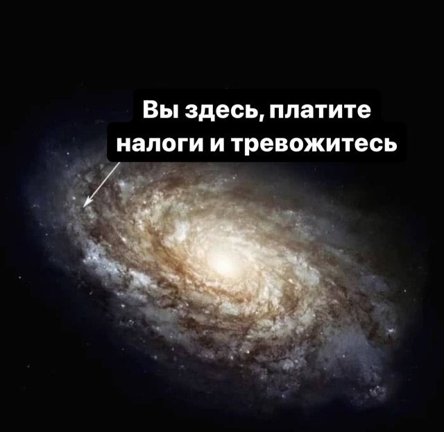 Что вообще здесь происходит?