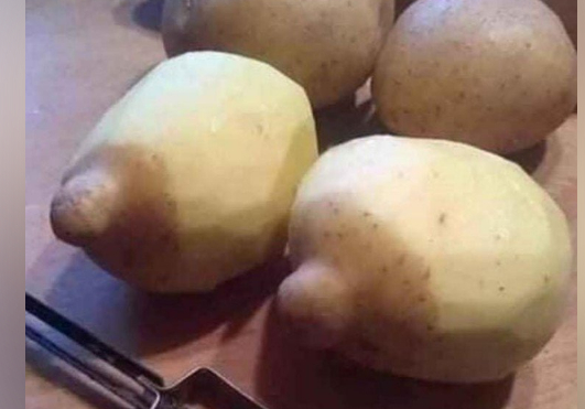 Сиськи