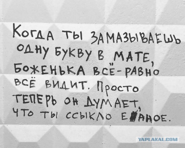 Так себе картинки 29.07.25