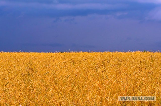 Флаг Украины