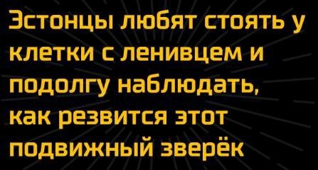 Эстония заявила о «вторжении» группы российских истребителей