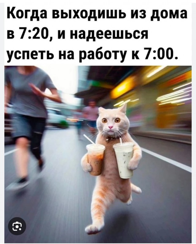 К котовторнику: подборка картинок-баянов с котиками и про котиков. Выпуск 24.