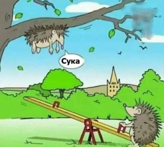 Картинки