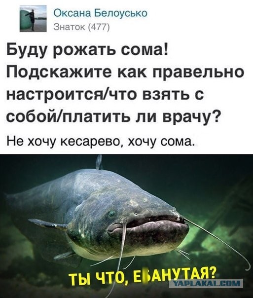 Секс на сапе посреди Волги устроила парочка в Казани
