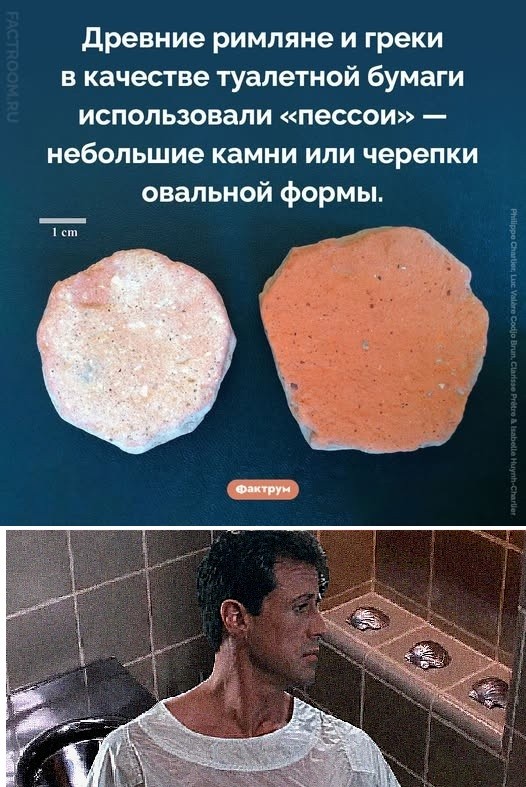Веселые картинки в маленькую пятницу (10.06)