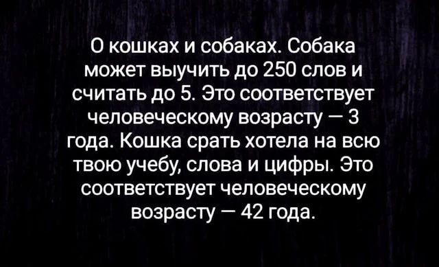 Молодчинка