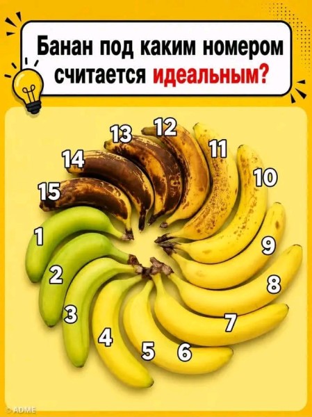 Так себе картинки 01.09.26