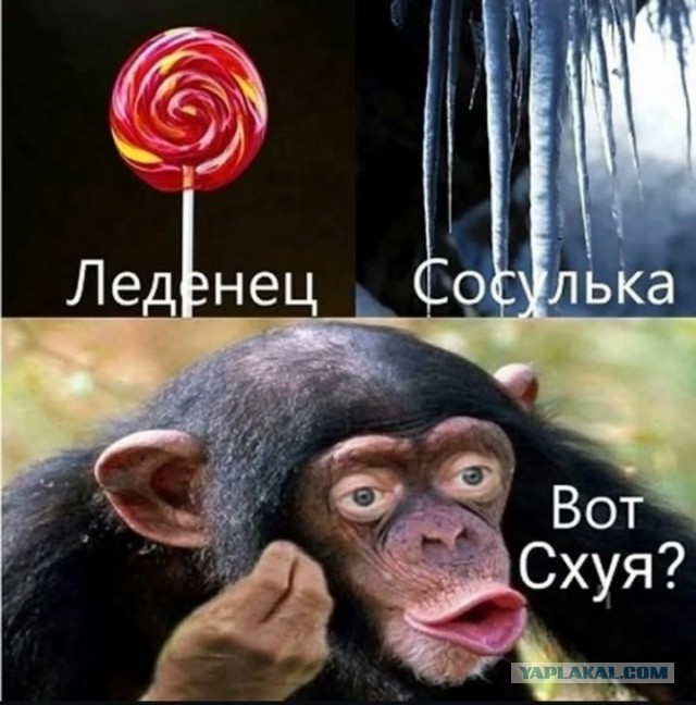 Это, как его?...