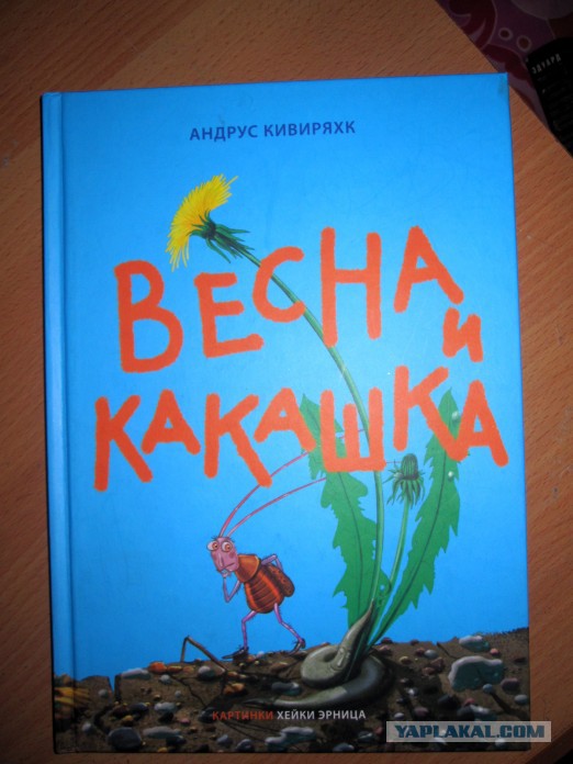 моя гражданская позиция