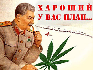 Бессмертный террорист.