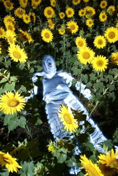 Фризлайт по-хеллоуински