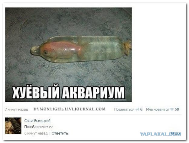 Смешные комментарии из социальных сетей.