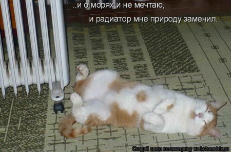 Подборка прикольных фото.