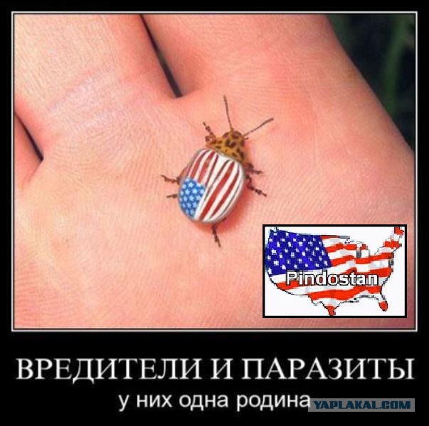 Зреет бунт украинской армии