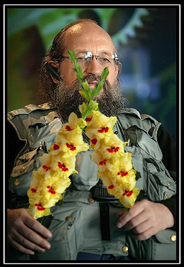 Вопросы, ломающие мозг