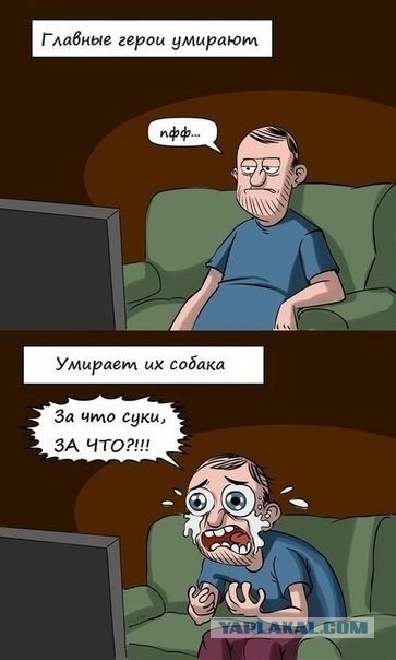 Немного позитива на пятницу.