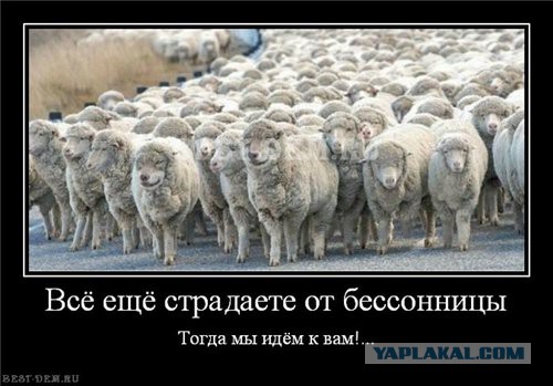 Поднимаем настроение