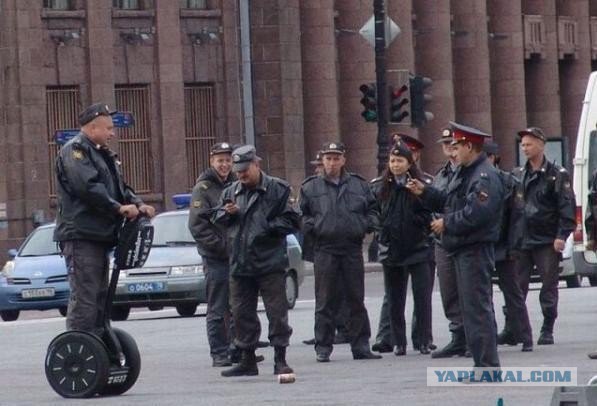 Картинки