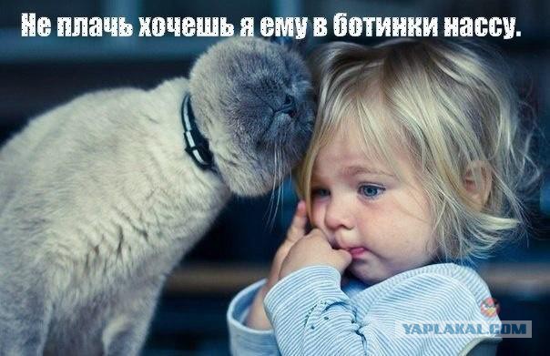 Весёлое из сети
