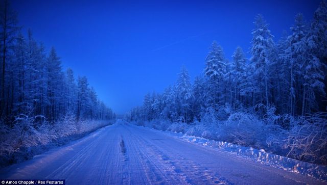Лучшие фотографии месяца