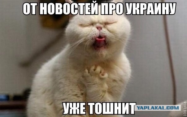 Доскакались