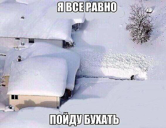 Забавные картинки.
