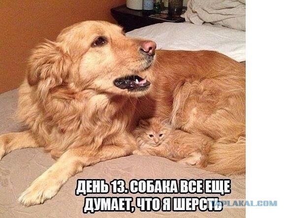 Так..картинки на понедельничек))