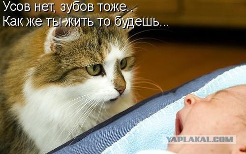 Вестник из соцсетей #8