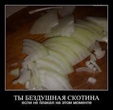 Веселые картинки