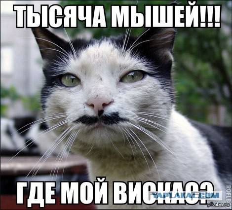 Картинки из сети