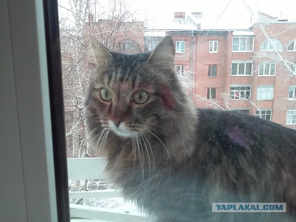 А за окном...