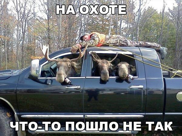 Прикольные картинки и демотиваторы