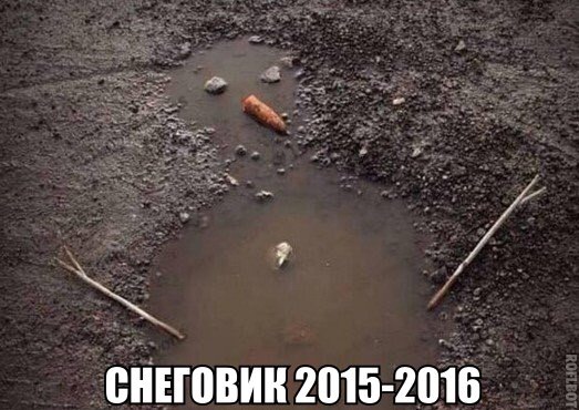 Самые чудные и курьёзные фотографии 2015 года