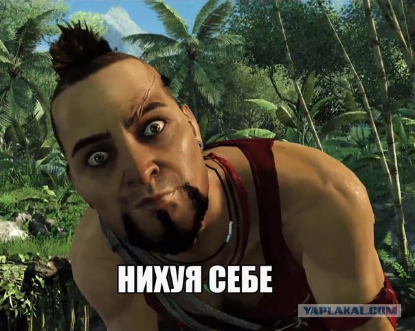 По правилам или по-человечески?