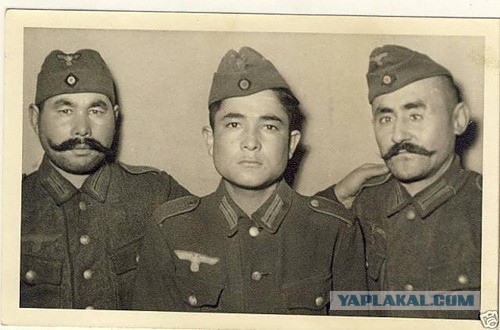 Завалили трупами