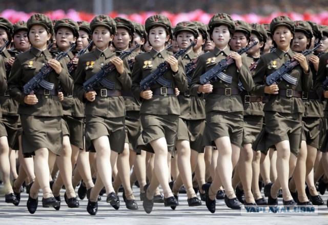 Кому нравятся северокорейские девушки?