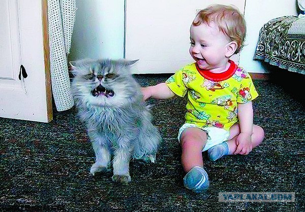 Родители оставили младенца с собакой. Вернувшись, они обнаружили это…