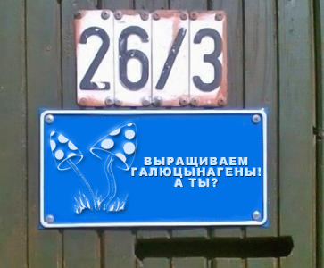 Фотожаба: Я Табличка