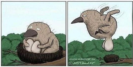 Ути ути... га га га