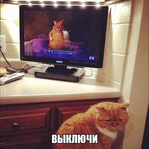 Прикольные животные